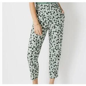 Ann Taylor Womens pull on green/white/black paperbag pants, size Medium leopard